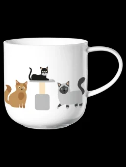 henkelbecher, cats