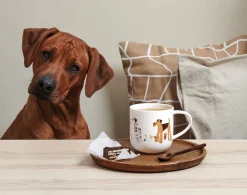 henkelbecher, dogs