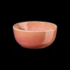 mini bowl, dragonfruit
