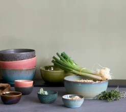 poké bowl set