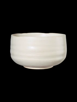 schale, hasu