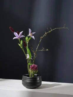 schale, kombu