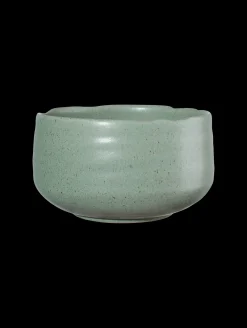 schale, matsu