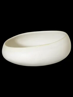 schale, soft shell