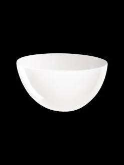 schüssel