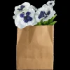 stiefmütterchen in papier