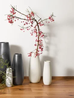 vase, soft shell