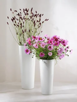 vase, weiß